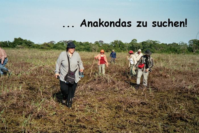 Click on the photo for the original