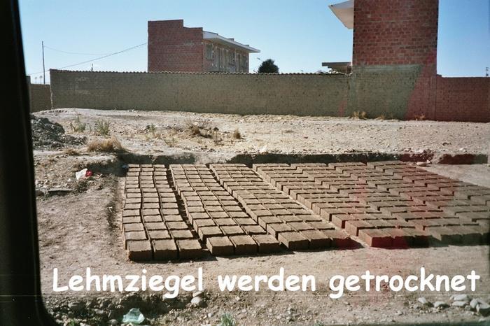 Click on the photo for the original