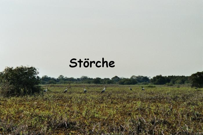 Click on the photo for the original