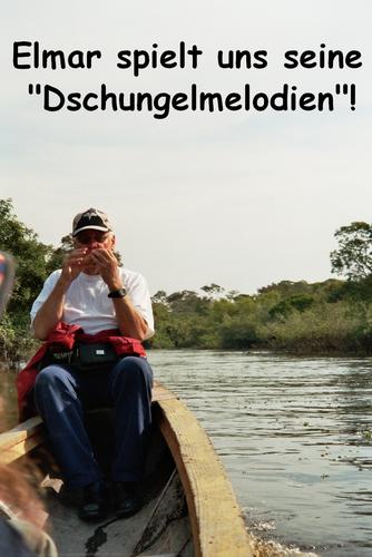 Click on the photo for the original